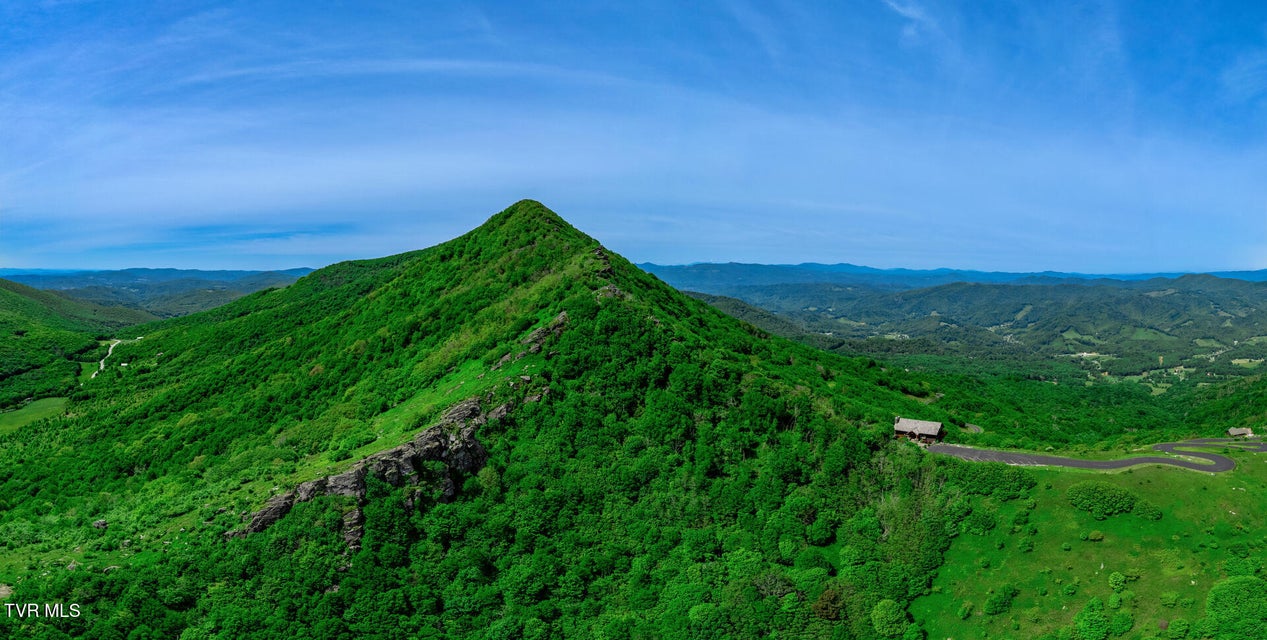 Photo #23: C613 Buffalo Nvno 