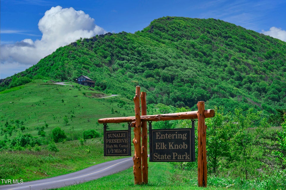 Photo #17: C613 Buffalo Nvno 