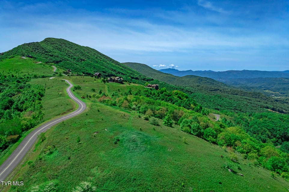 Photo #16: C613 Buffalo Nvno 