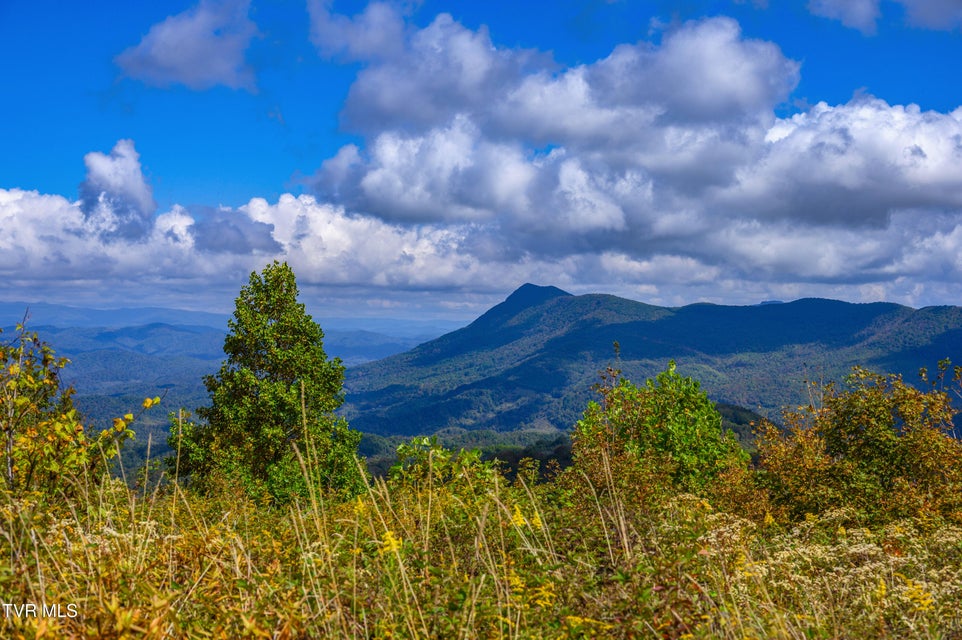 Photo #15: C613 Buffalo Nvno 