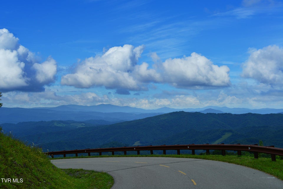 Photo #14: C613 Buffalo Nvno 