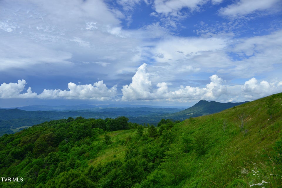 Photo #13: C613 Buffalo Nvno 