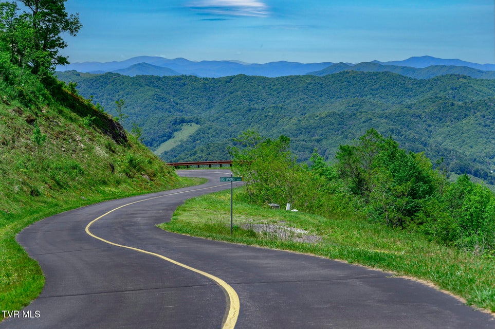 Photo #11: C613 Buffalo Nvno 