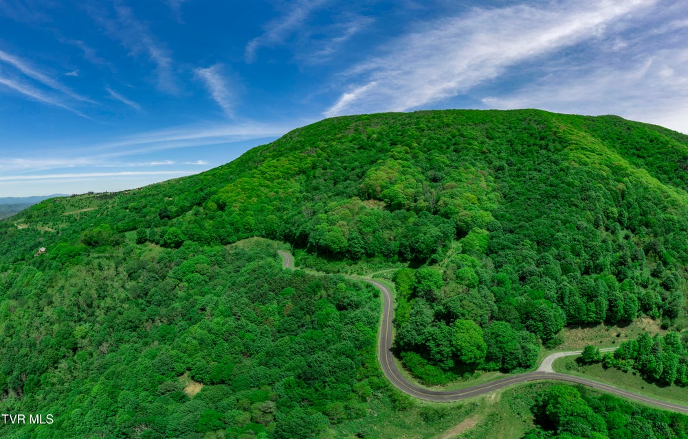 Photo #9: C613 Buffalo Nvno 