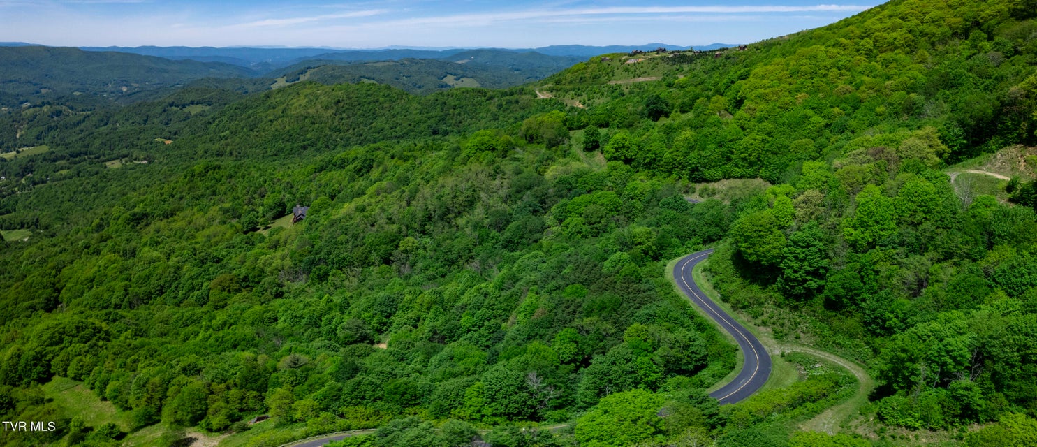 Photo #12: C613 Buffalo Nvno 