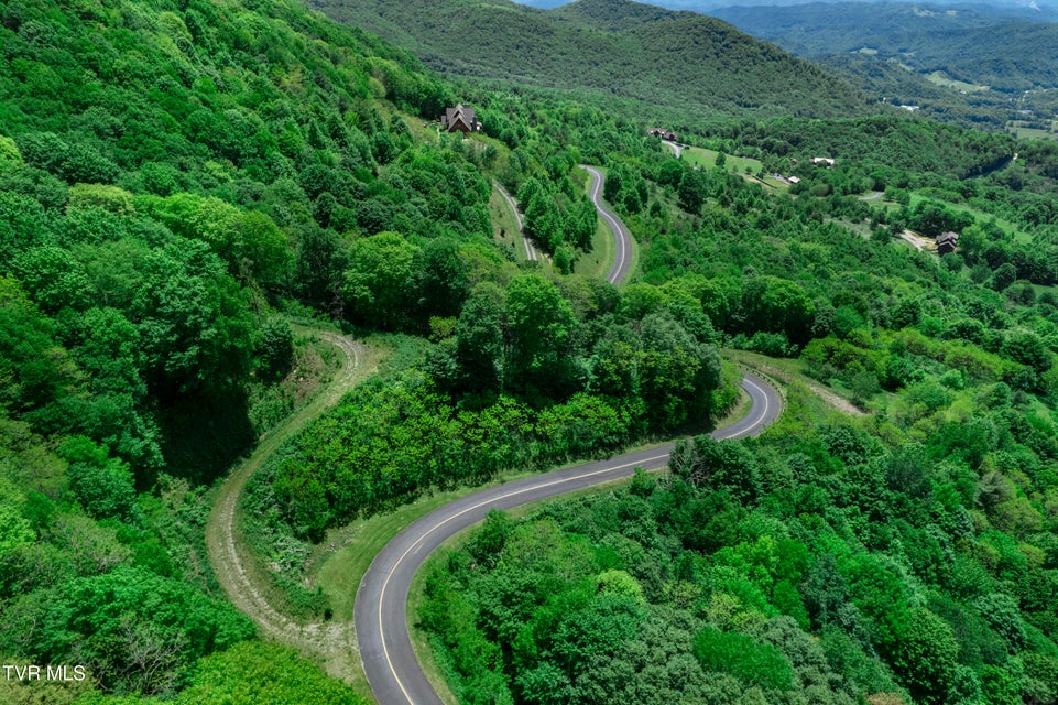 Photo #10: C613 Buffalo Nvno 