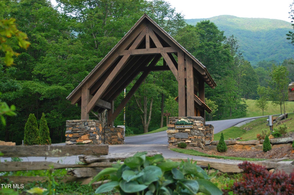 Photo #7: C613 Buffalo Nvno 