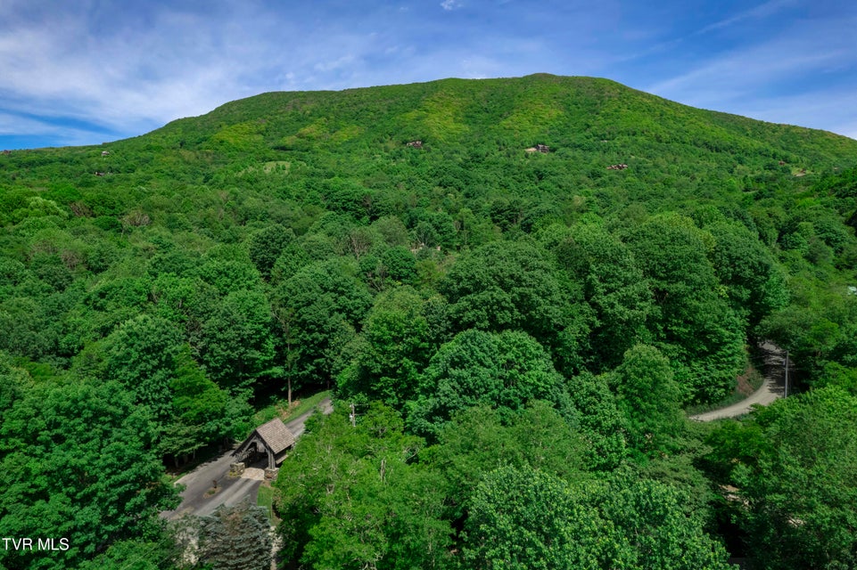 Photo #42: C613 Buffalo Nvno 