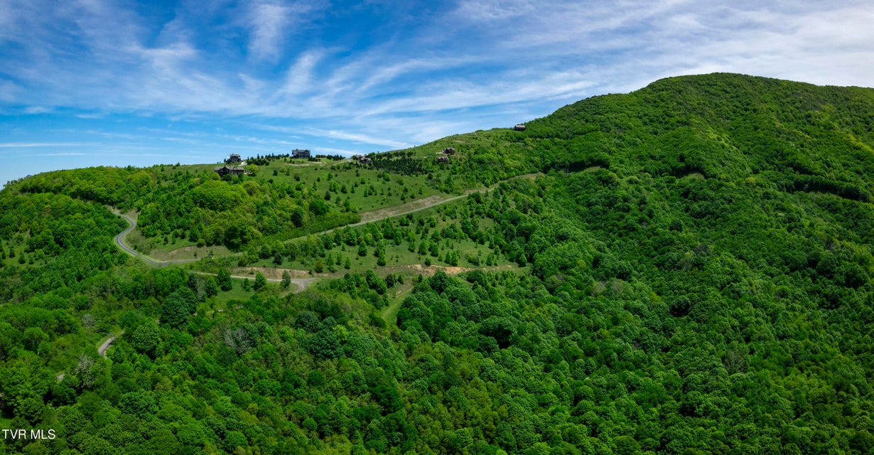 Photo #45: C613 Buffalo Nvno 