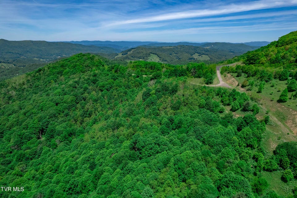 Photo #47: C613 Buffalo Nvno 