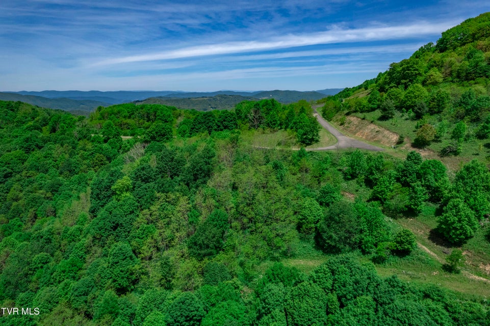 Photo #49: C613 Buffalo Nvno 