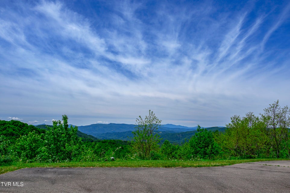 Photo #50: C613 Buffalo Nvno 