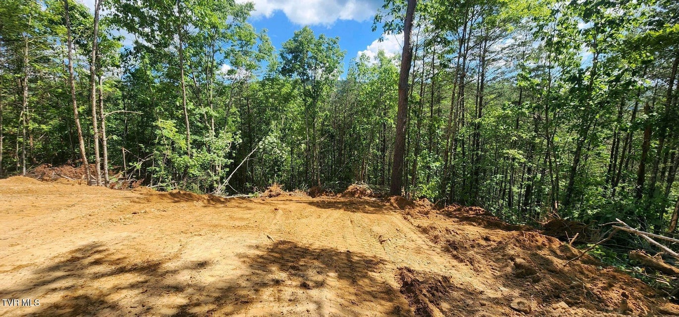 Photo #3: 371 Pressmens Home Road