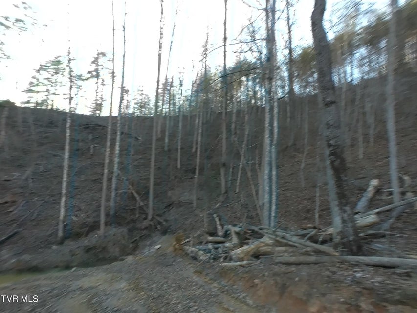 Photo #8: 371 Pressmens Home Road