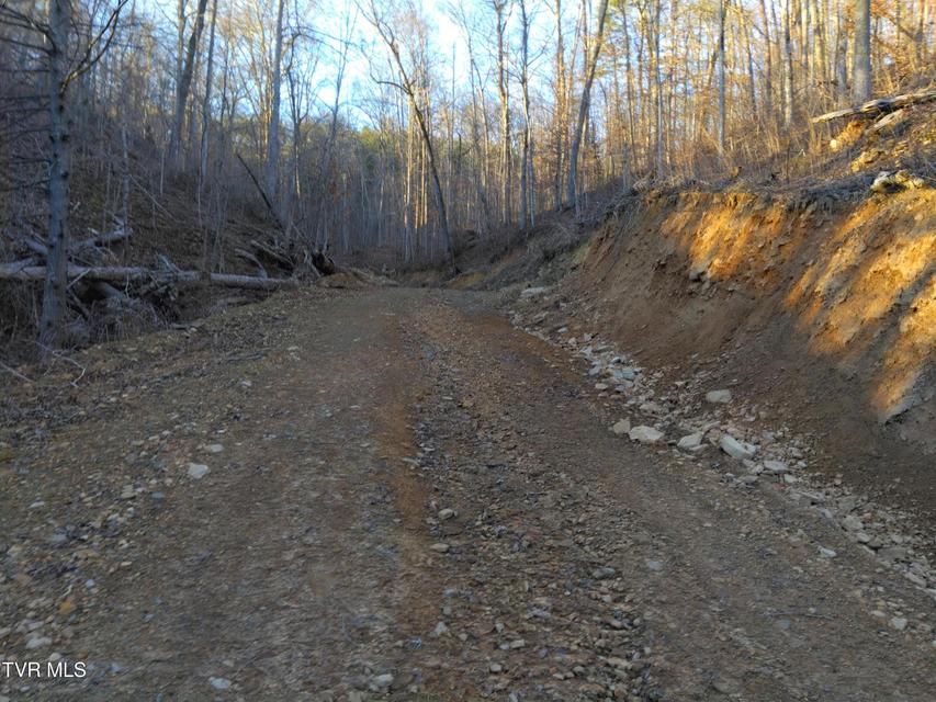 Photo #9: 371 Pressmens Home Road