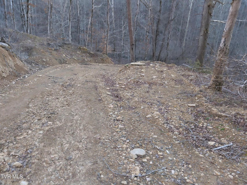 Photo #10: 371 Pressmens Home Road