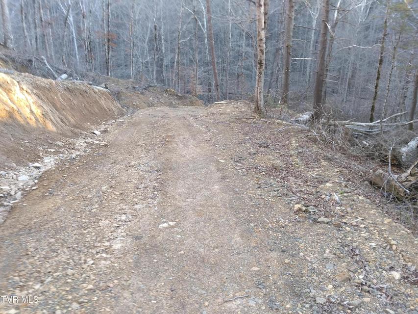 Photo #11: 371 Pressmens Home Road