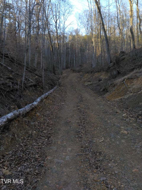 Photo #13: 371 Pressmens Home Road