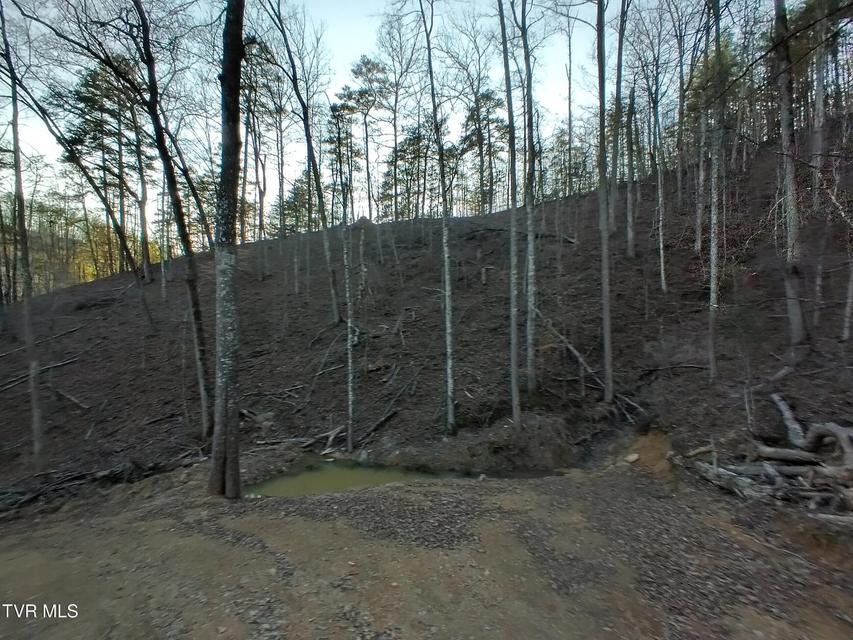 Photo #15: 371 Pressmens Home Road