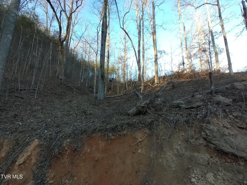 Photo #16: 371 Pressmens Home Road