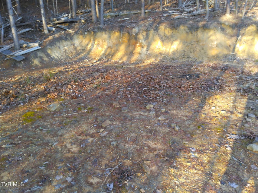 Photo #22: 371 Pressmens Home Road