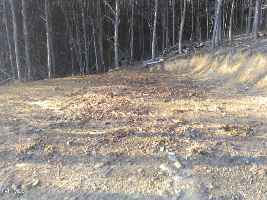 Photo #23: 371 Pressmens Home Road