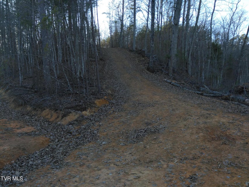 Photo #25: 371 Pressmens Home Road