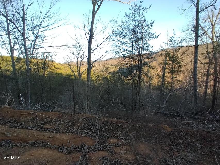 Photo #26: 371 Pressmens Home Road