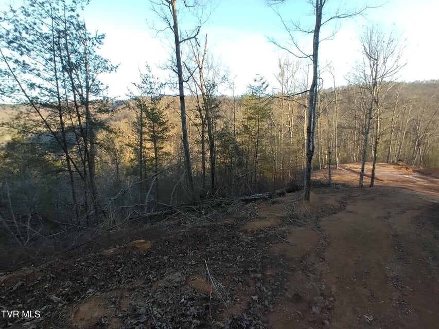 Photo #27: 371 Pressmens Home Road