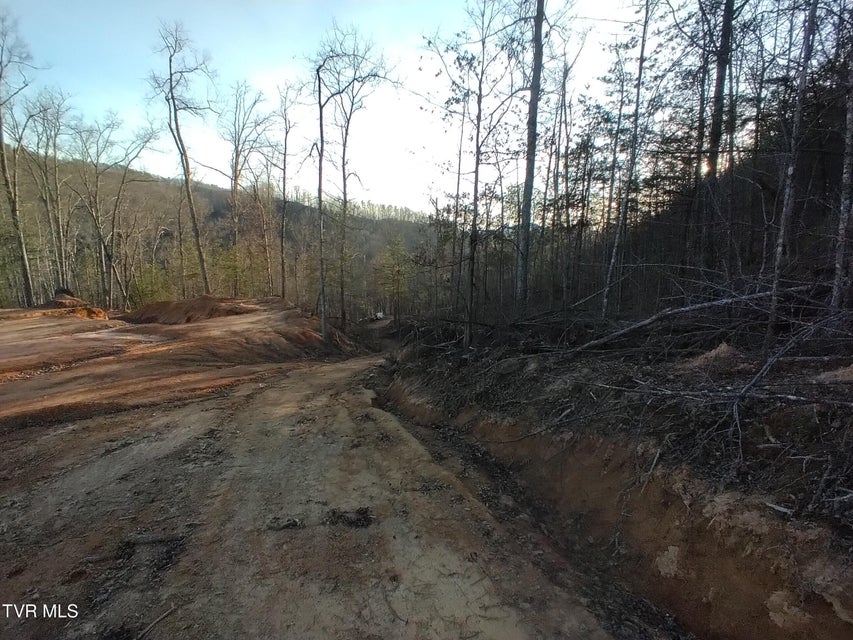 Photo #28: 371 Pressmens Home Road