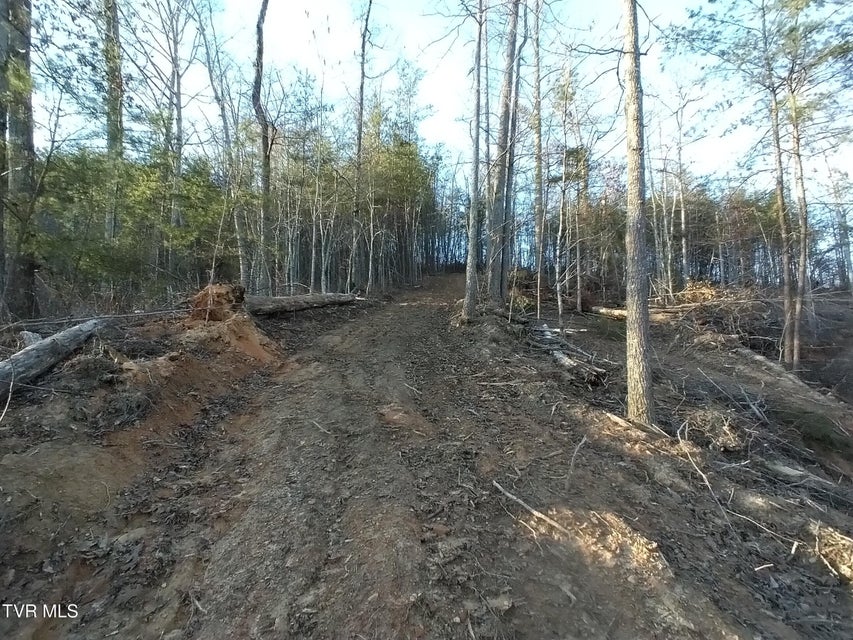 Photo #29: 371 Pressmens Home Road