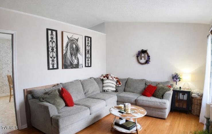 Photo #3: 361 Springfield Drive