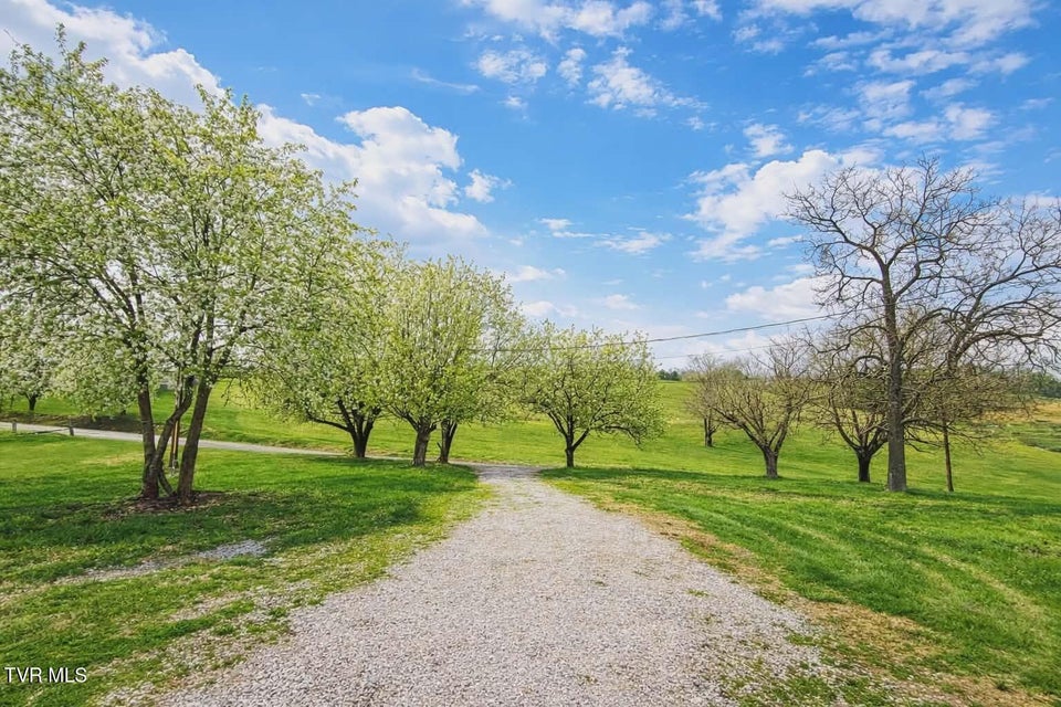 Photo #7: 379 Lakeview Road