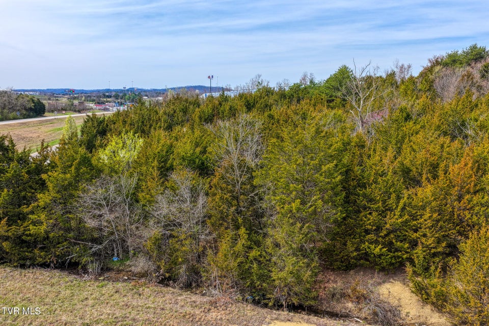 Photo #13: 000 Mcintosh Lane