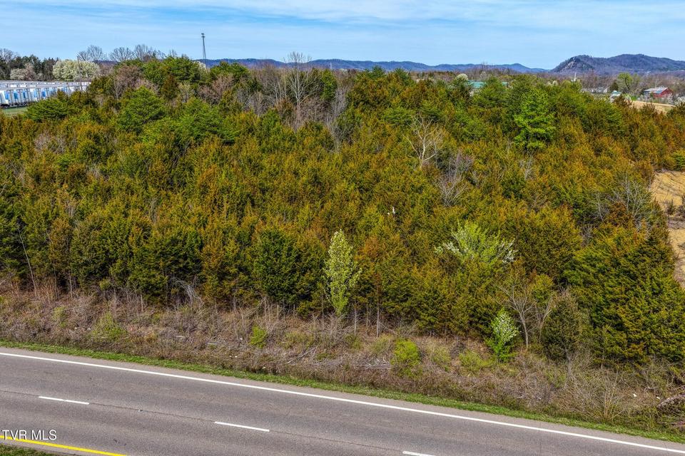 Photo #16: 000 Mcintosh Lane