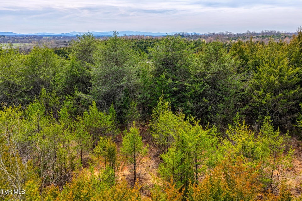 Photo #19: 000 Mcintosh Lane