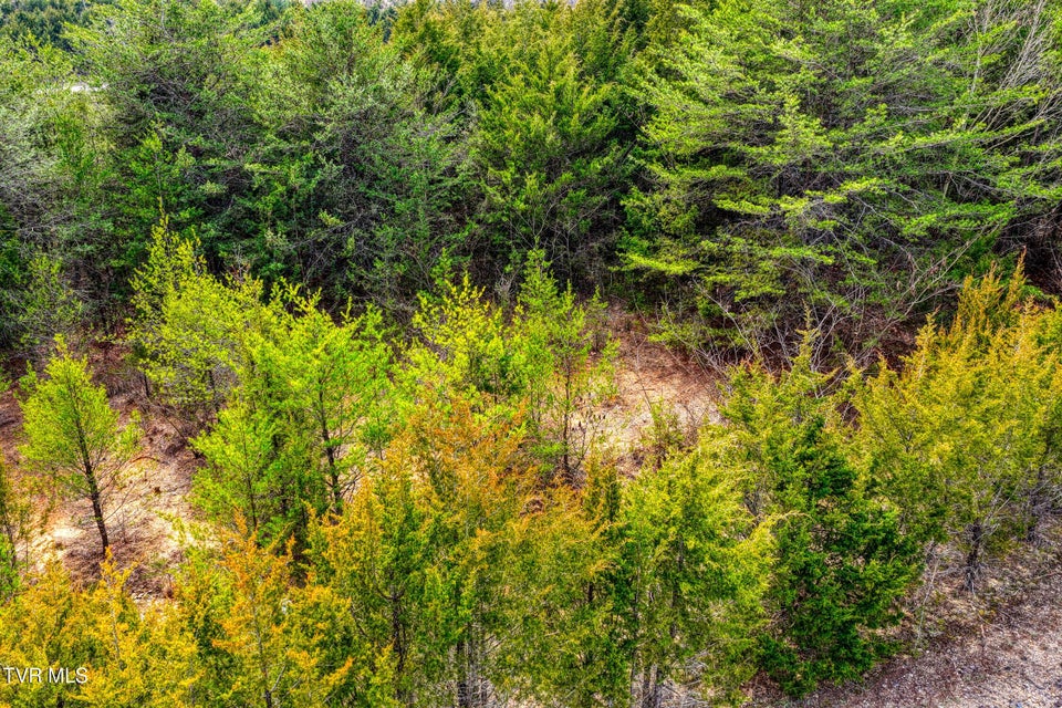 Photo #20: 000 Mcintosh Lane