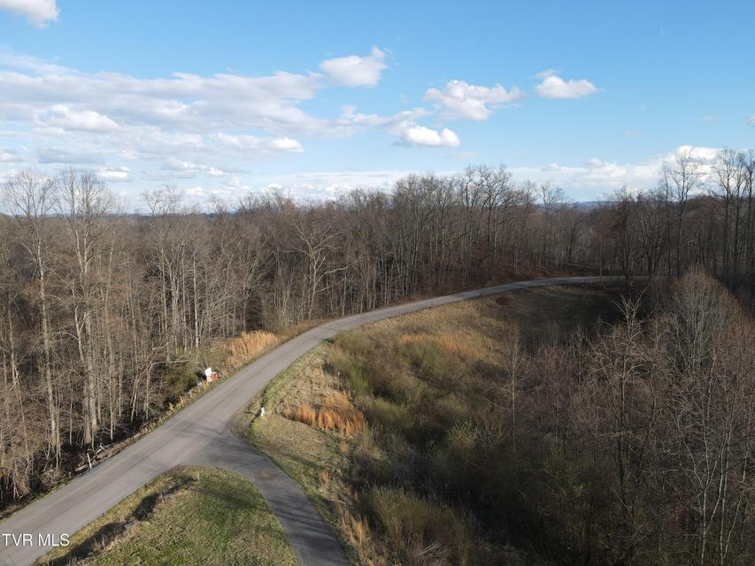 Photo #45: 3849 Nealy Ridge