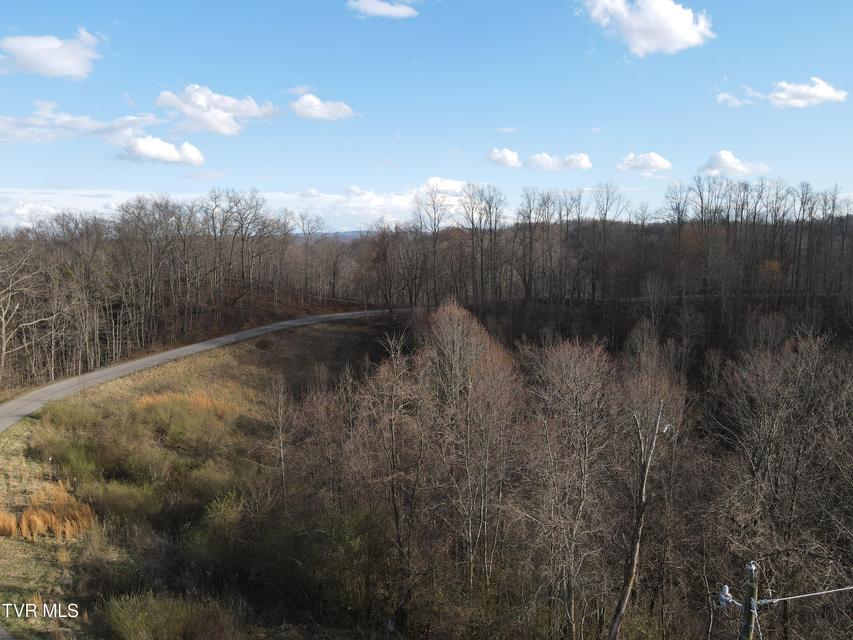 Photo #46: 3849 Nealy Ridge