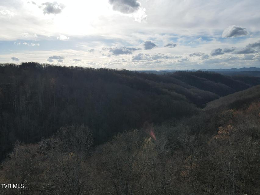 Photo #59: 3849 Nealy Ridge