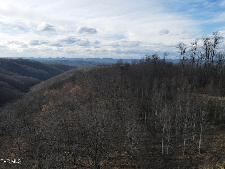 Photo #60: 3849 Nealy Ridge