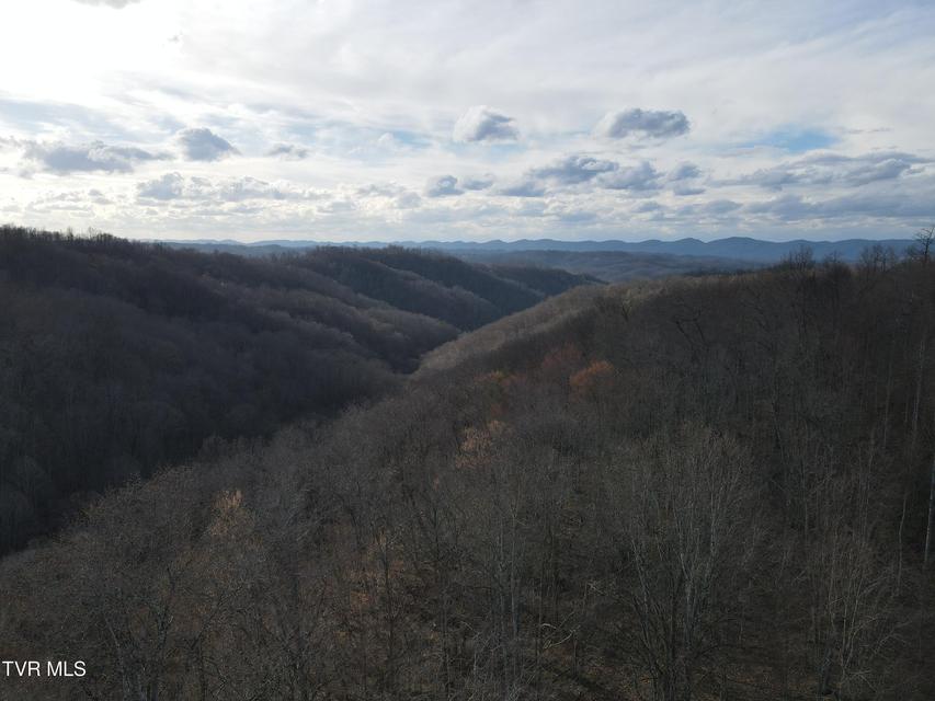 Photo #61: 3849 Nealy Ridge