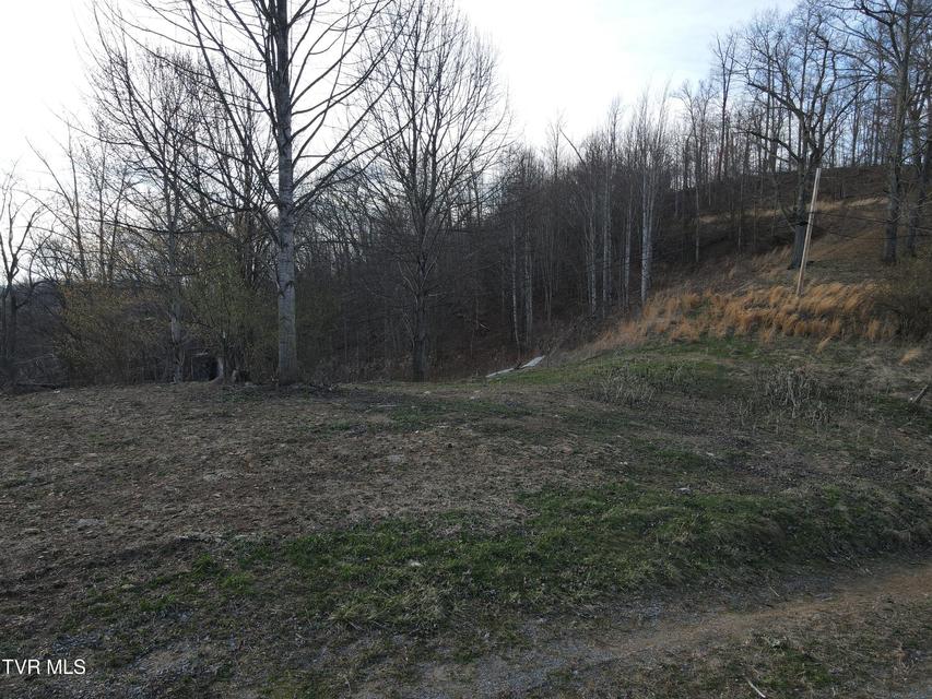 Photo #55: 3849 Nealy Ridge