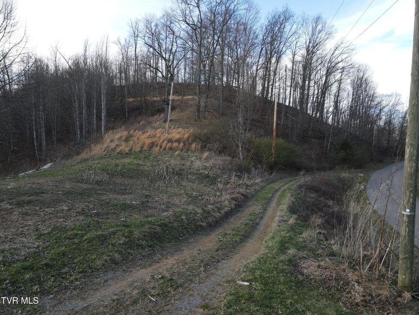 Photo #56: 3849 Nealy Ridge