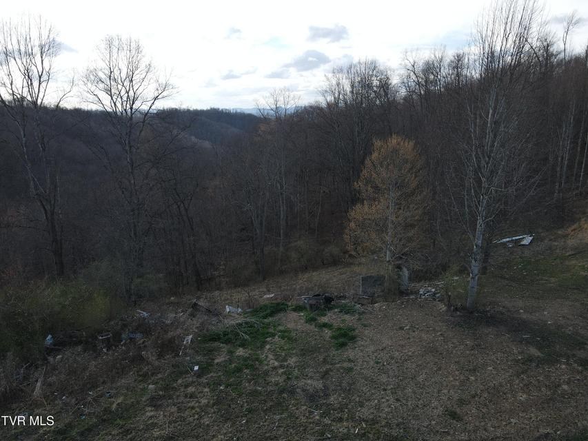 Photo #63: 3849 Nealy Ridge