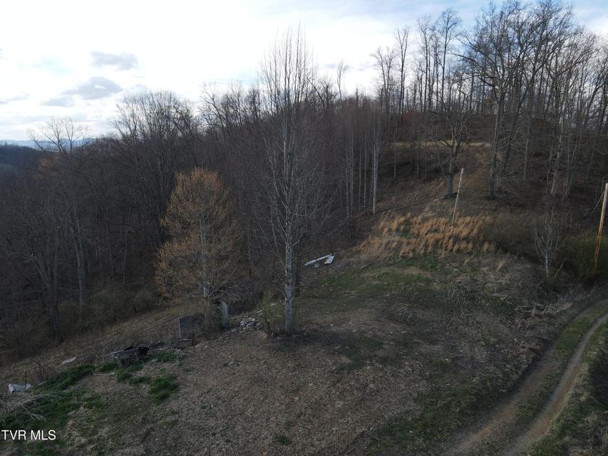 Photo #64: 3849 Nealy Ridge