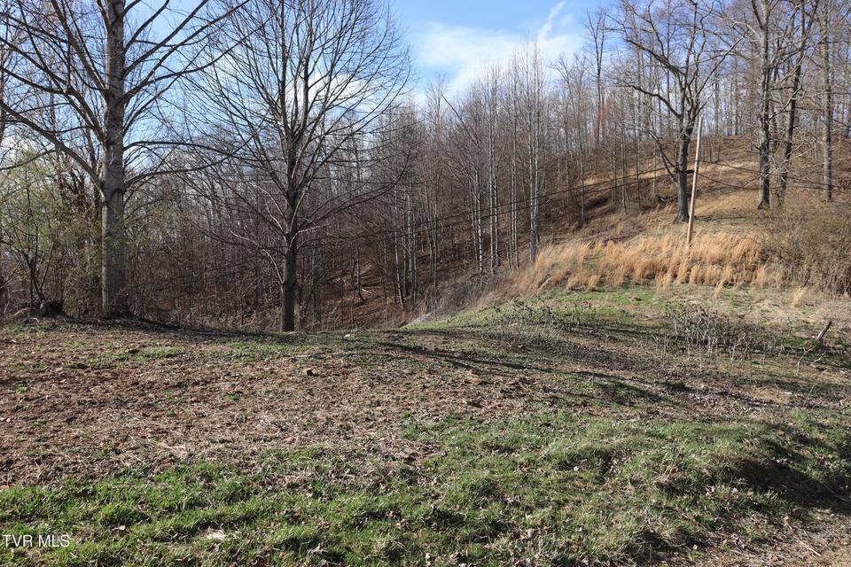 Photo #48: 3849 Nealy Ridge