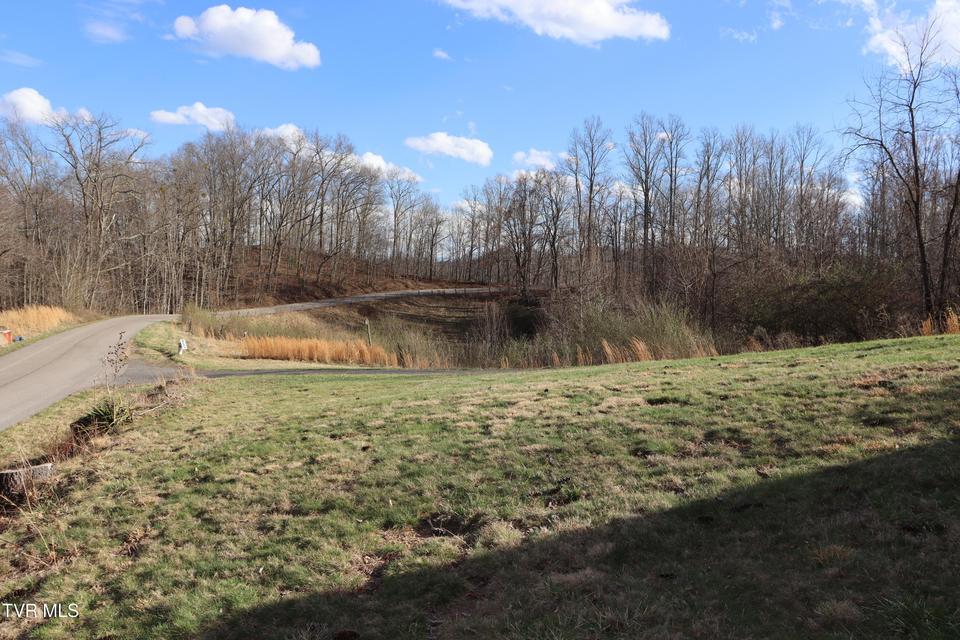 Photo #51: 3849 Nealy Ridge