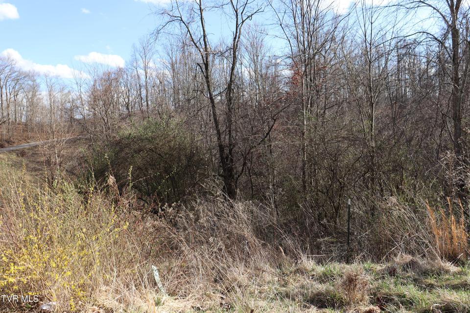 Photo #52: 3849 Nealy Ridge