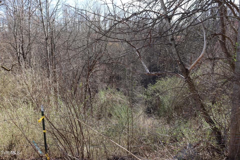 Photo #53: 3849 Nealy Ridge